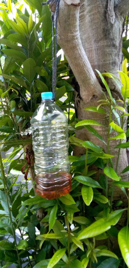 SNSギャラリー｜おおさか ほかさん マップ【大阪府公式】