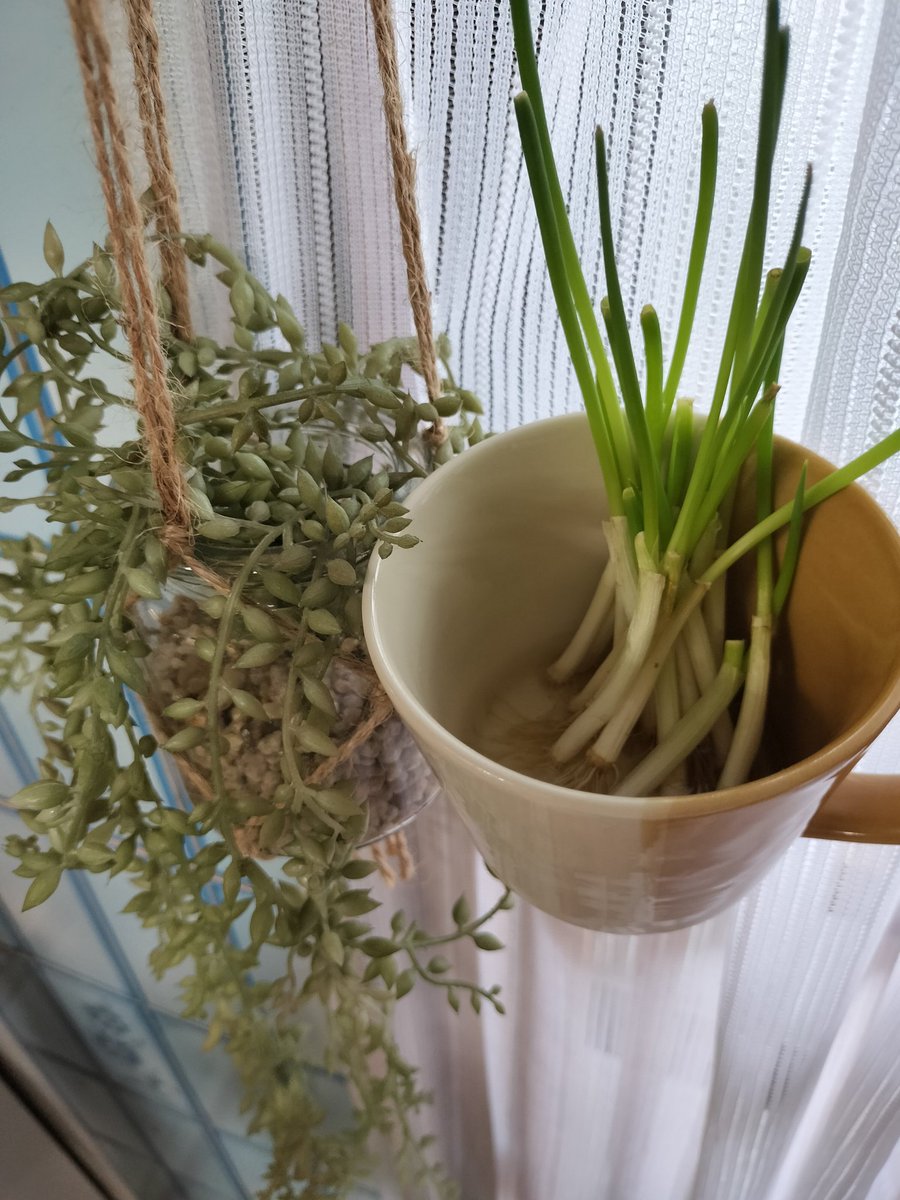 SNSギャラリー｜おおさか ほかさん マップ【大阪府公式】