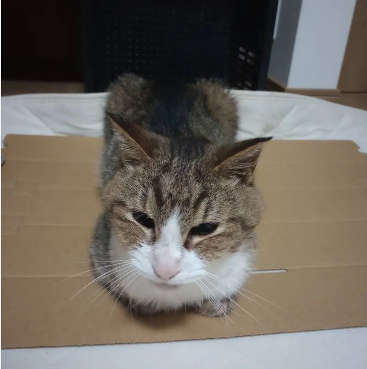 SNSギャラリー｜おおさか ほかさん マップ【大阪府公式】