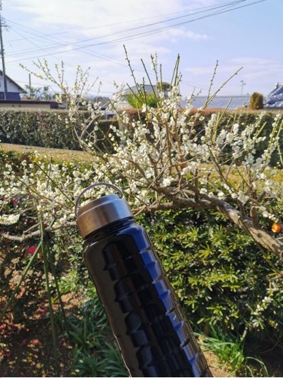 SNSギャラリー｜おおさか ほかさん マップ【大阪府公式】